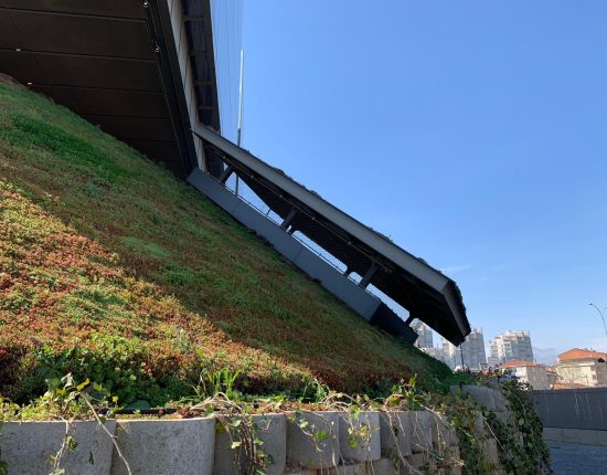 imgi_18_4-10